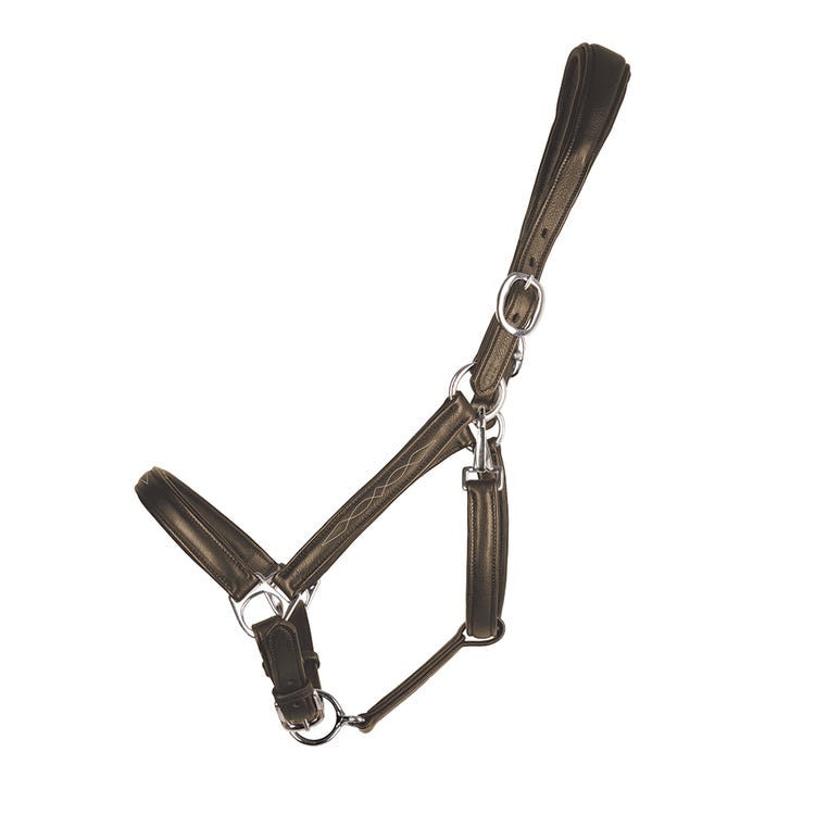 ProPresicce Softy Leather Head Collar by Hy Equestrian image 2